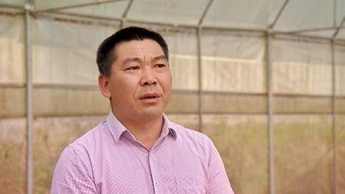 特别大,稍不注意就容易烧苗,因此林宗明提醒社员们一定注意把大棚关好