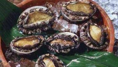 老板请客吃鲍鱼,服务员问我要几头,我说一头,老