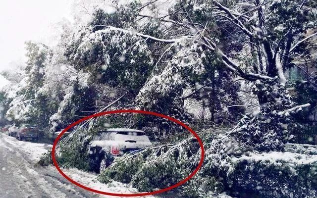 老司机来教你,雨雪天如何将车辆停在室外?