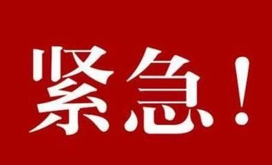 现场查获问题狗肉约2吨,查获毒狗针1万多支,"琥珀胆碱"原材料5公斤