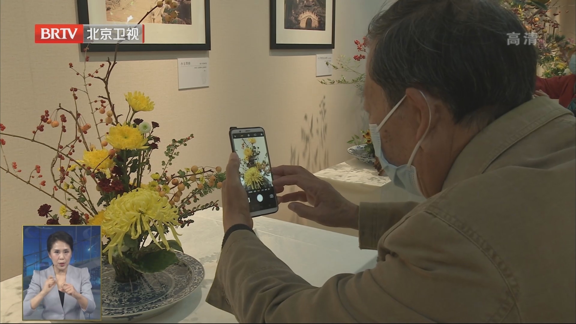 天坛北海菊展10月22日同时开幕 天坛北海菊展10月22日同时开幕