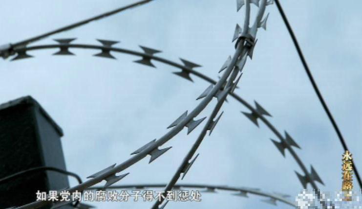 图为监狱外高筑的围墙。