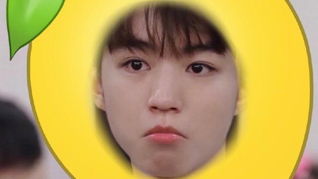 王俊凯化身 王俊凯化身