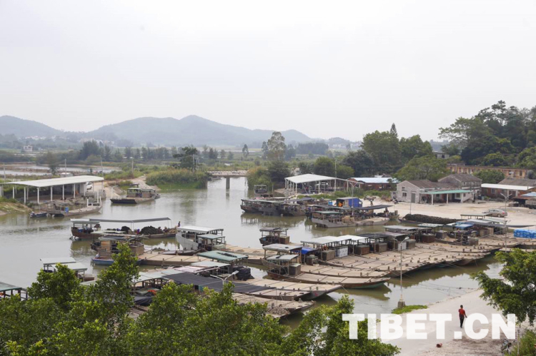 【新时代•幸福美丽新边疆】探访中国蚝乡养殖产业 看高品质生蚝如何长成