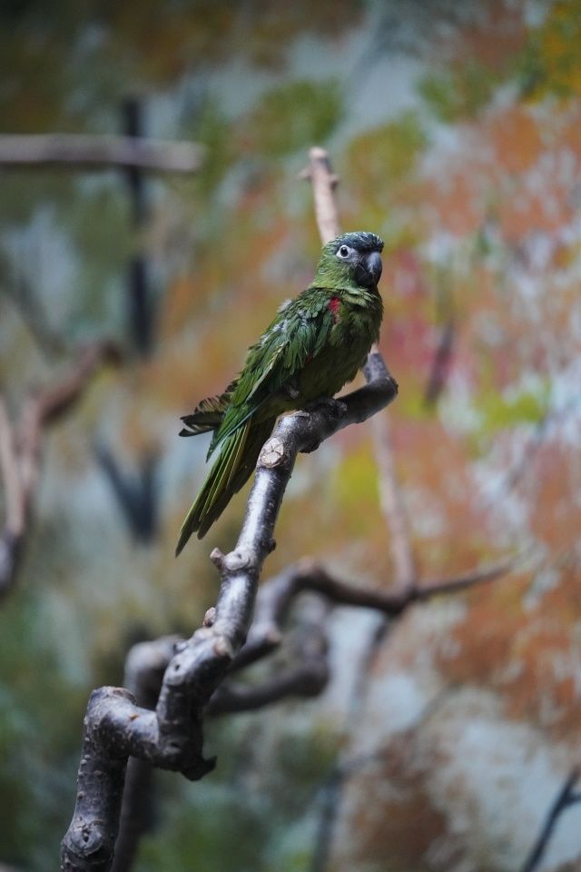 画质与性能并肩前行,索尼 A7R3 试用报告