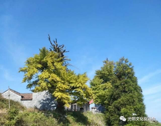 游上饶|乡约广丰,当一回乡村旅游星探员!