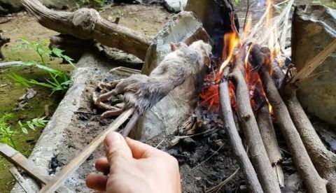 越南男子野外生存,用机关捉2个野味吃,看清是什么后网友吐了!