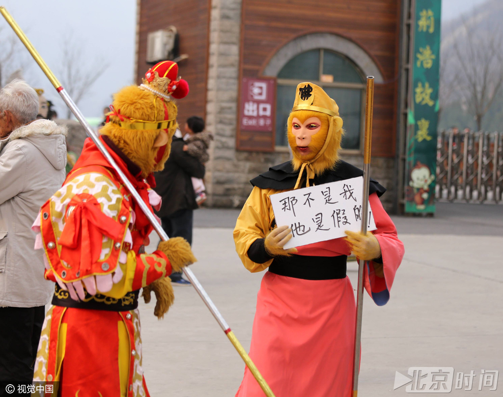 据了解，中国猴山五龙口现存有地球纬度最北的野生太行猕猴群落，现有猕猴16群3000多只。图：视觉中国