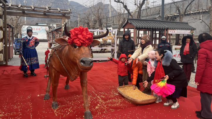 迎新春！昌平区十三陵镇康陵村再现立春“打春牛”传统习俗