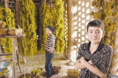 连吃20天葡萄干,身体会有什么变化?痛风病人会