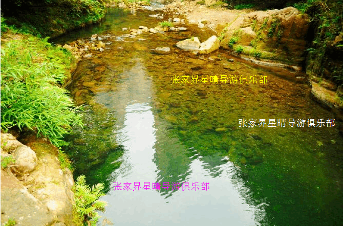 长沙高铁站去长沙汽车东站和汽车西站和火车站