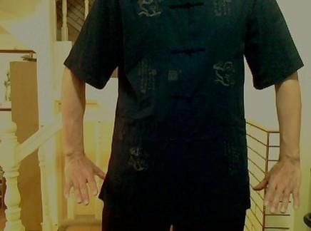 杨氏太极内功入门秘法:三线放松功、站桩、无