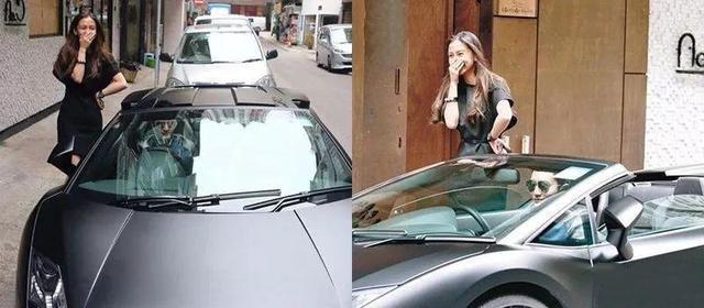 张智霖买过的壕车,比袁咏仪爱马仕还多,腕表却