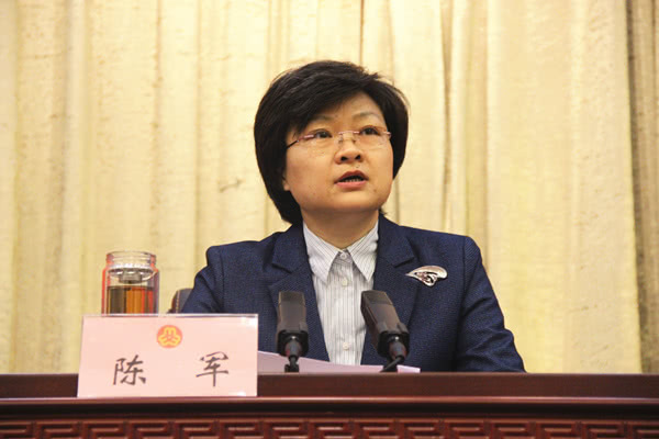 市委常委,常务副市长陈军在讲话中指出,过去的一年,是我市妇联工作