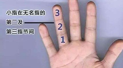 手相:健康线图解女人命运到底如何