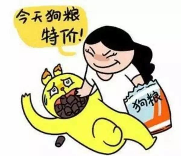 周董凌晨宣布昆凌怀二胎,还是个"小王子"!情人节第一碗狗粮,我服