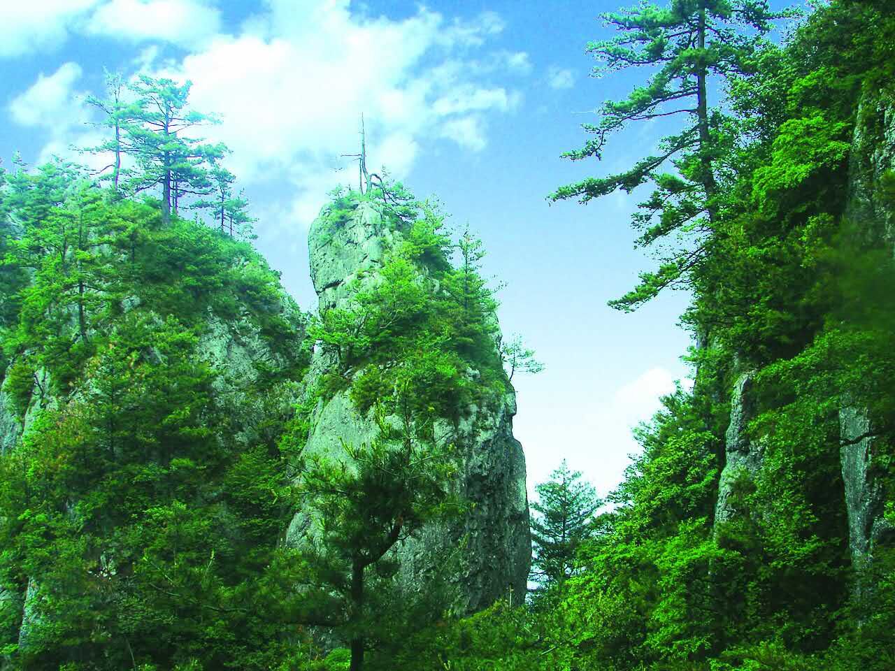 避暑胜地山阳县天竺山景区实现 避暑胜地山阳县天竺山景区实现