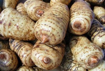 天麻种一亩大约需要投资多少钱?能赚多少钱?