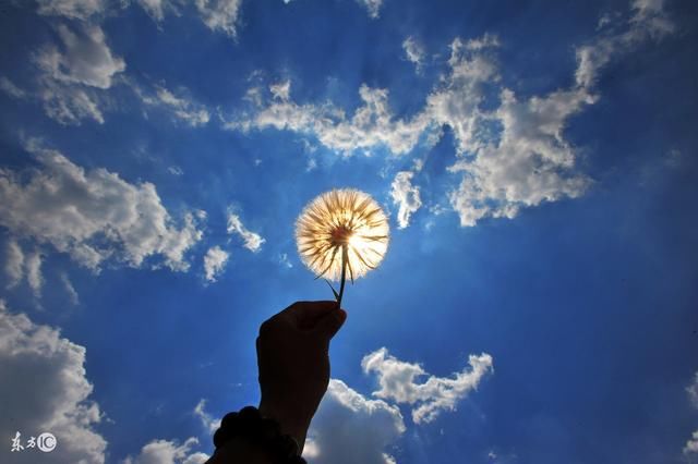 属狗人最命苦的出身月份,说进去能吓你一跳,