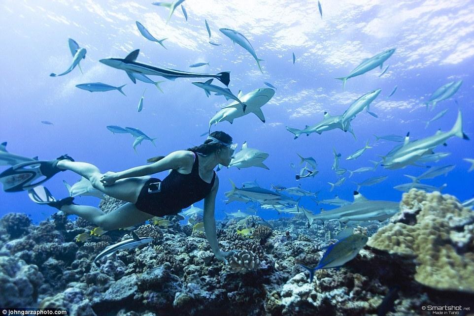 从此之后，她便一发不可收地爱上了潜泳，并且放弃了从小就有的明星梦。