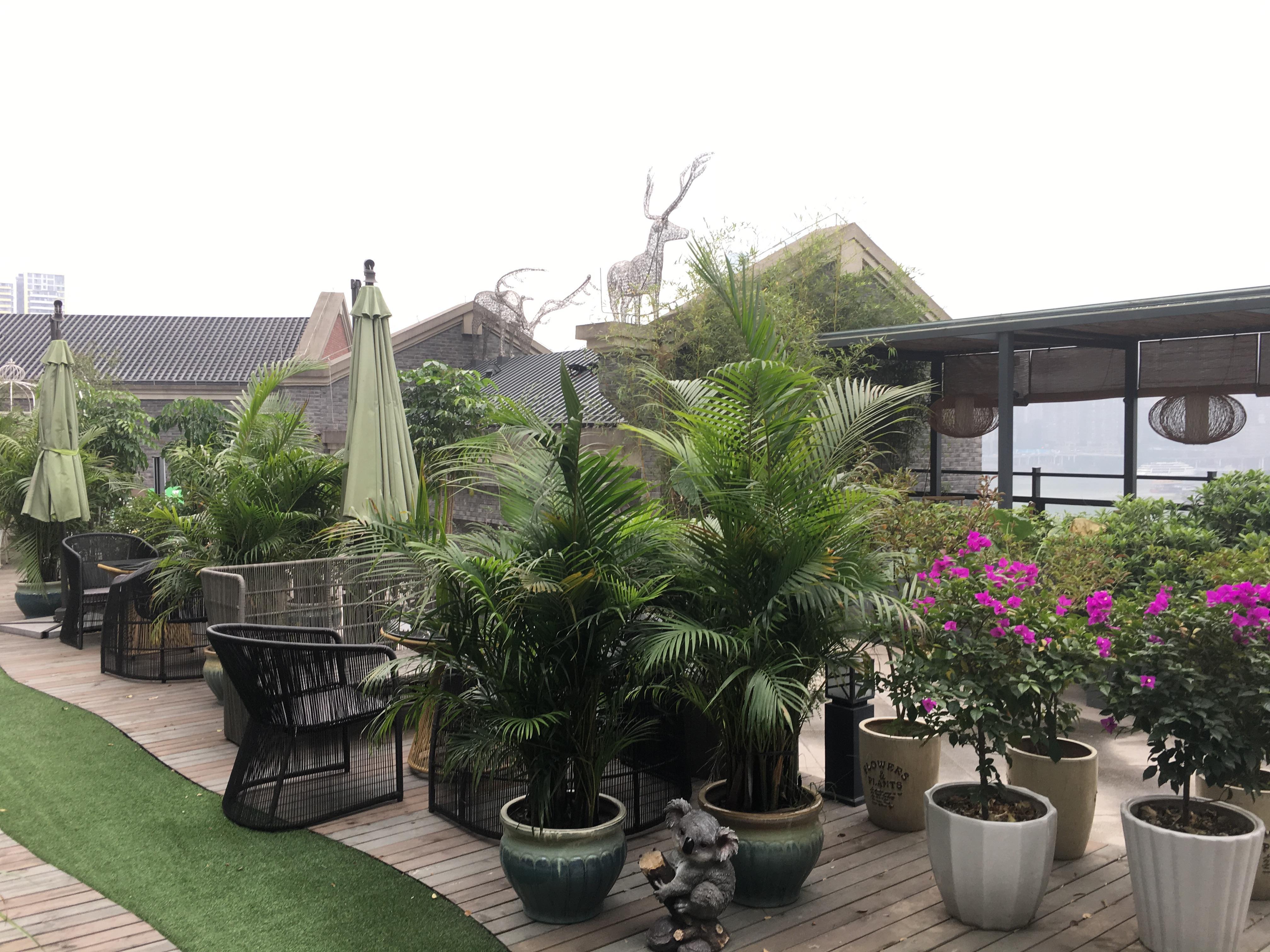 2月4日-周日英语社交沙龙 在考拉!