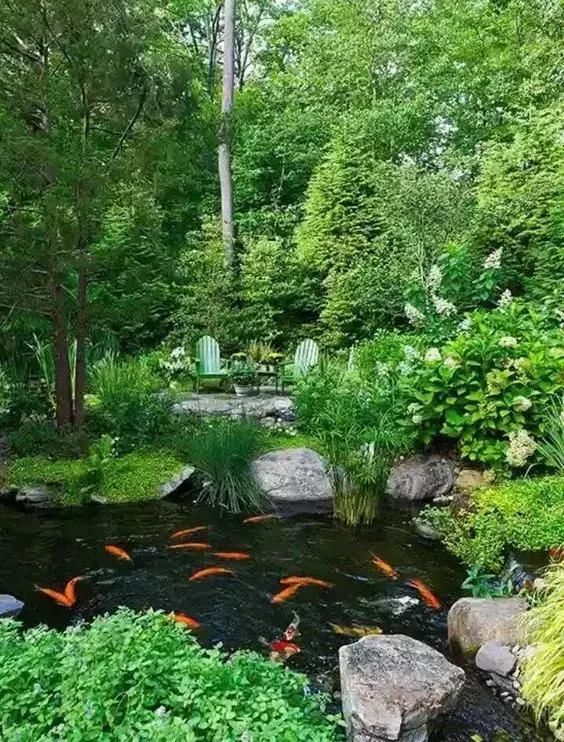 家庭园艺|庭院花园里的自然水池,这样来做 水景