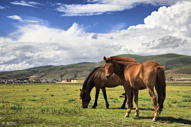 最新四川省国家级贫困县名单一览,有您的家乡