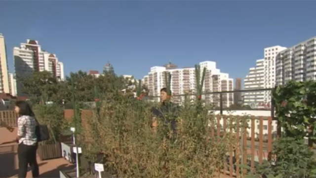 首都国企主动作为 提升老街坊的获得感 首都国企主动作为 提升老街坊的获得感