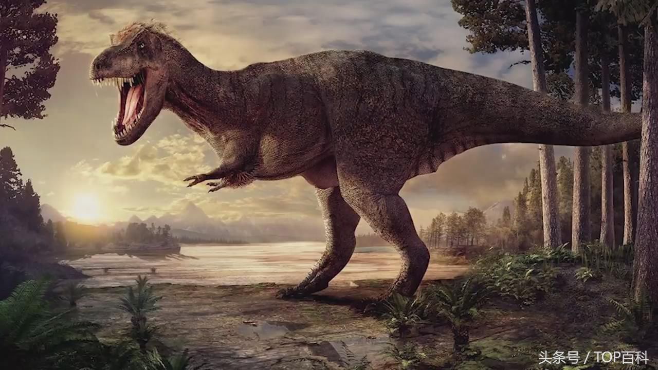 霸王龙  可以说强大的霸王龙是已知的最大的食肉恐龙.
