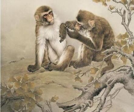 这三个生肖好运直上云霄,中年事业功成名就,钞