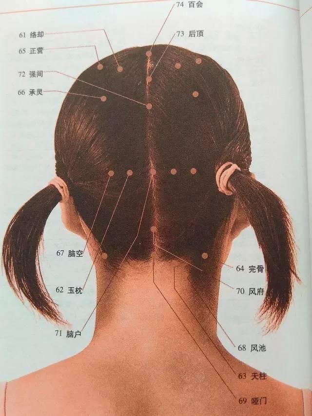头面颈部穴位