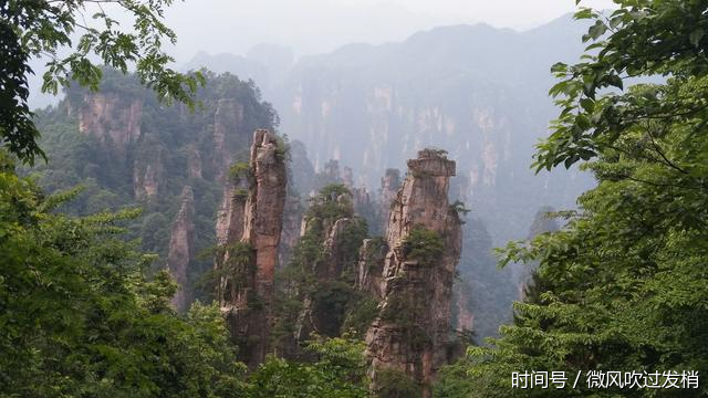 天津坐飞机到张家界,包导游(线路攻略)