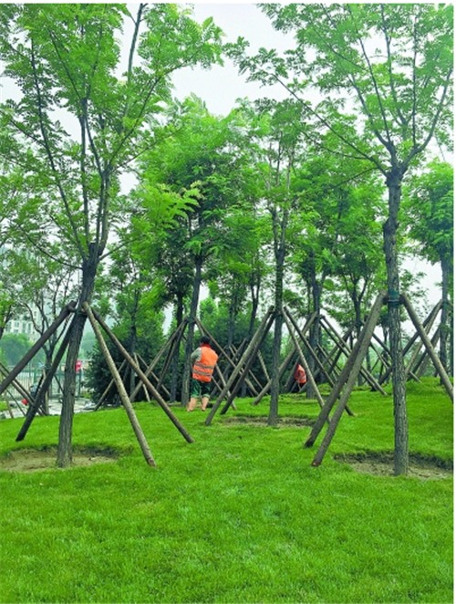 东二环通惠河南岸 棚户变公园