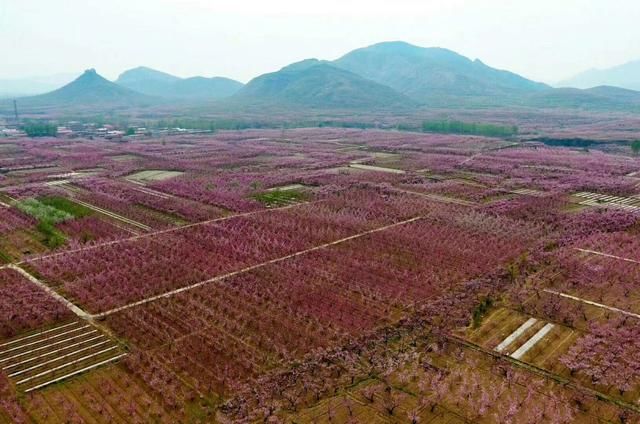 清早唯美句子大全 清晨温馨文字