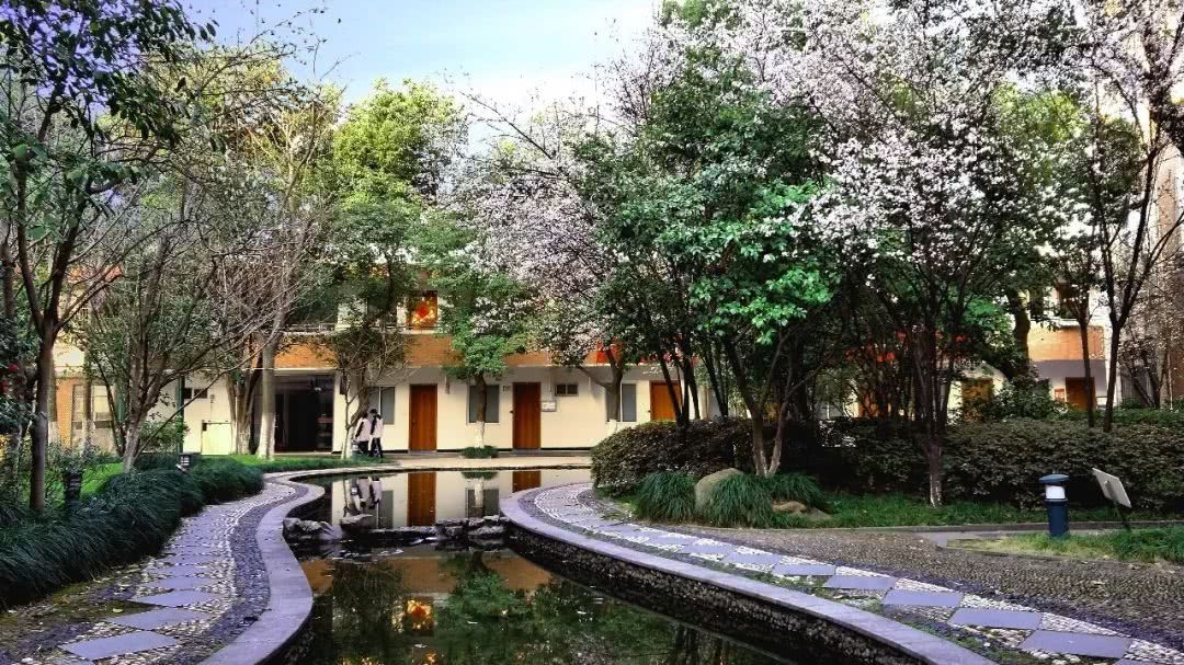 万万没想到,今年杭州中考招生人数最多的,竟是