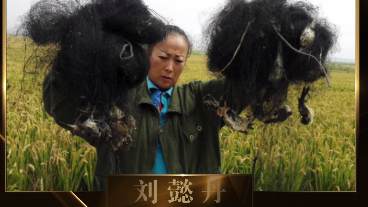 第五届“寻找北京最美慈善义工”榜样个人-刘懿丹 第五届“寻找北京最美慈善义工”榜样个人-刘懿丹