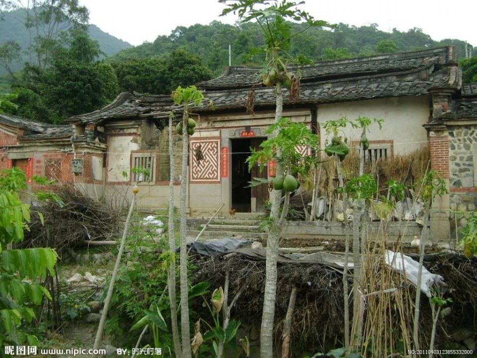住宅里有蛇在风水中有什么讲究?资深风水先生