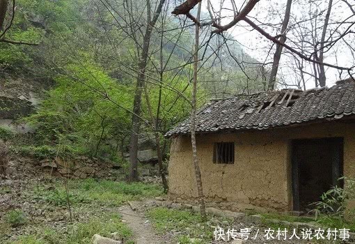 取消农村户口后,农民的宅基地会被收回?农民别