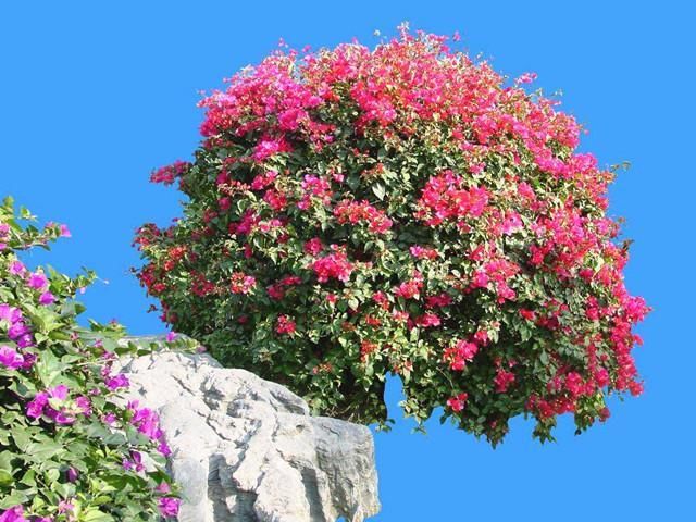 2018年厦门旅游攻略,几月去厦门旅游舒适?厦