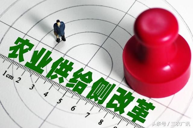 中央经济工作会议为三农送个大红包实施乡村