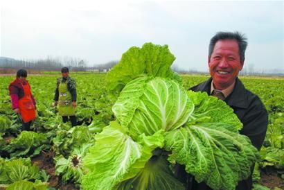 为何农村人比较长寿呢?百岁农民说出原因