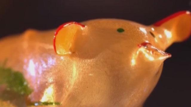 北京非物质文化遗产——吹糖人