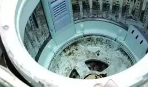 洗衣机要定期清洗,一包小苏打粉+白醋就能清洁