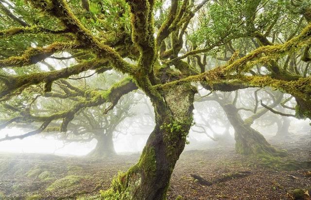 广西称为八桂的原因竟是如此,很多广西人都不