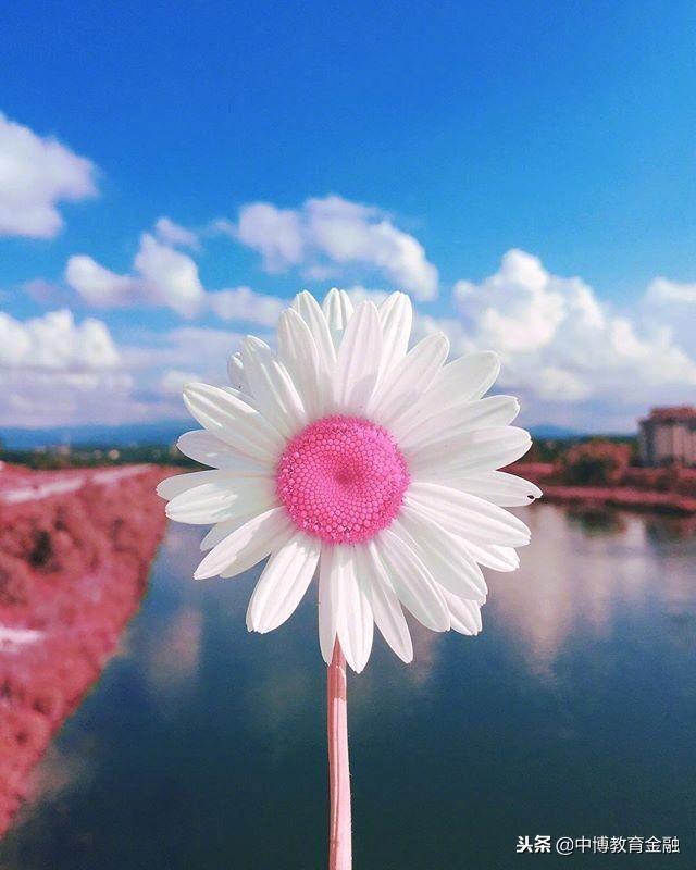 创业新点子新项目:可靠的家庭小型创业项目,马