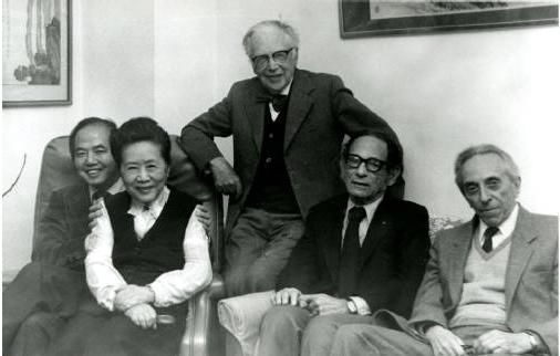 杨振宁得是靠什么获得了诺贝尔奖,最伟大的成