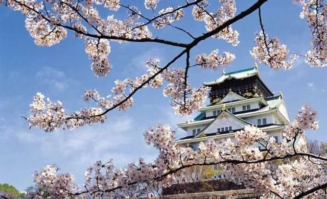 美版知乎:下辈子想当哪国国民?网民回答不一,