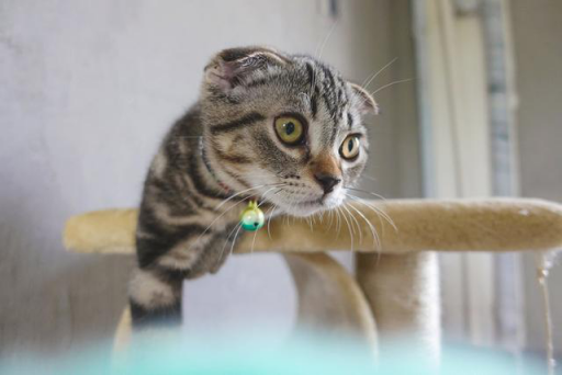 旅游时用什么相机好,佳能微单M100相机效果如何