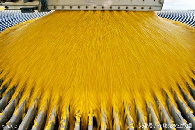 6月5日:玉米副产品止跌企稳,中美谈判或会影响