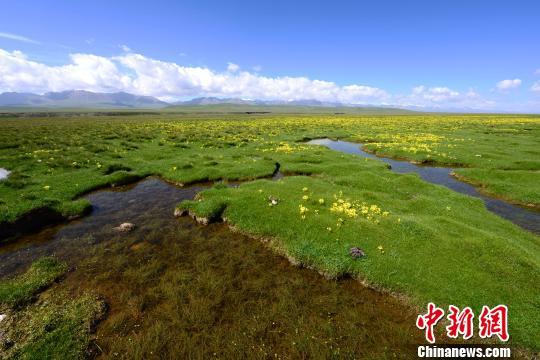 青海:打造祁连山国家公园体制试点 "生态高地+"